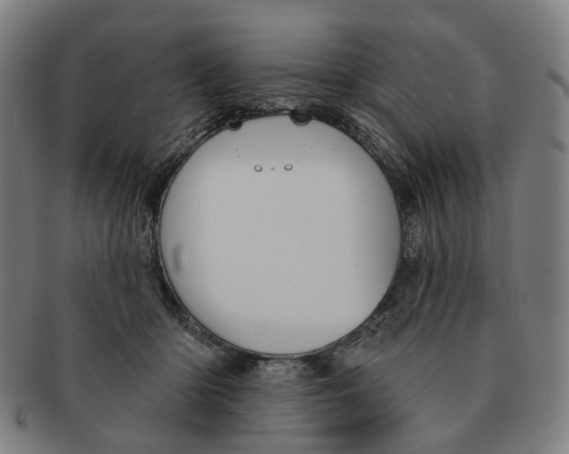 X0000090980414200708301253
