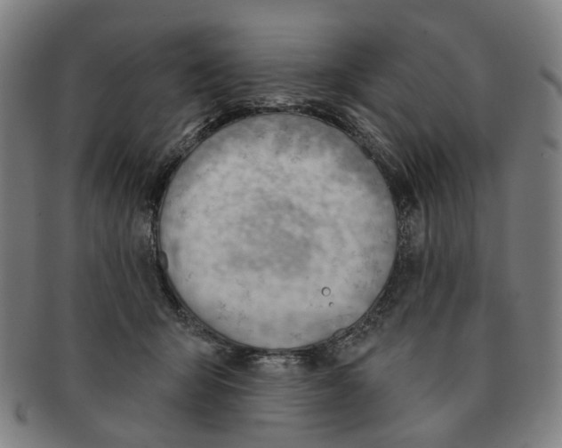 X0000090980415200708301253
