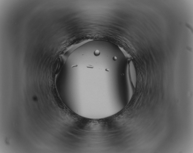X0000090980416200708301253