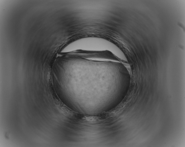 X0000090980417200708301253