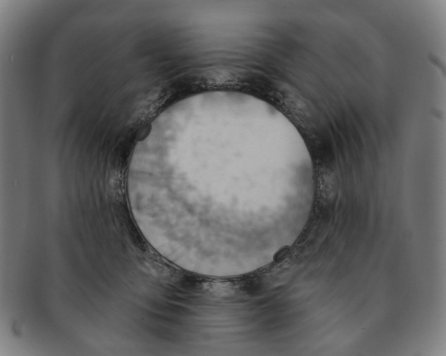 X0000090980419200708301253