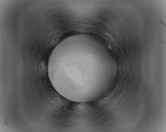 X0000090980420200708301253