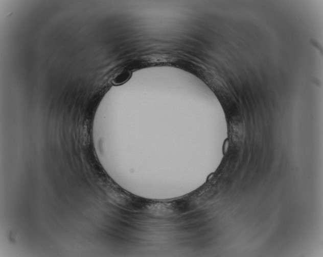 X0000090980422200708301253