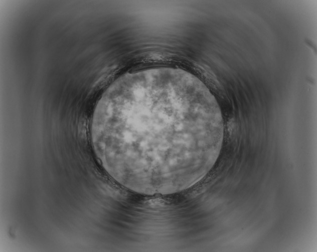 X0000090980423200708301253