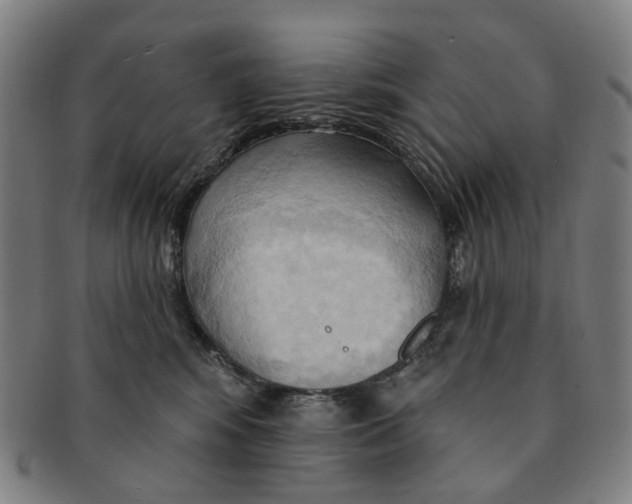 X0000090980424200708301253