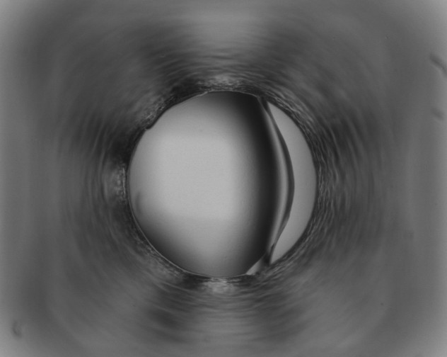 X0000090980425200708301253