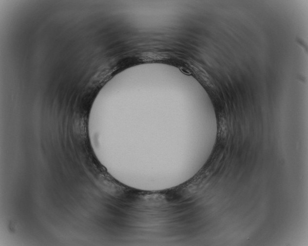 X0000090980426200708301253