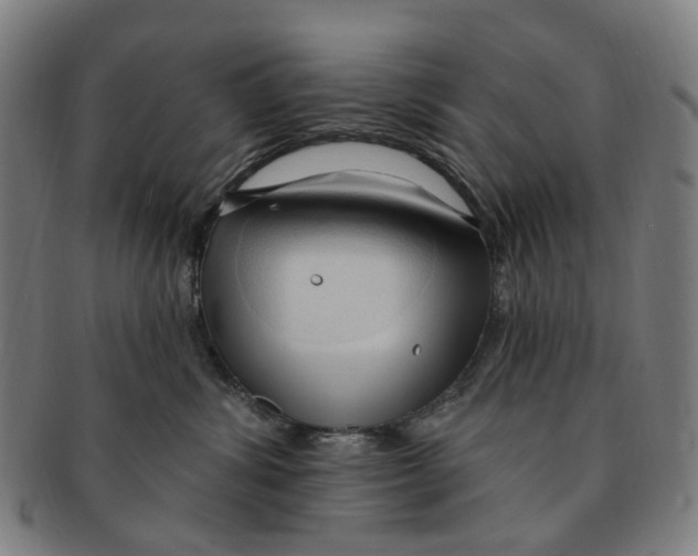 X0000090980428200708301253