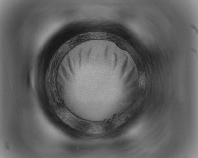 X0000090980431200708301253