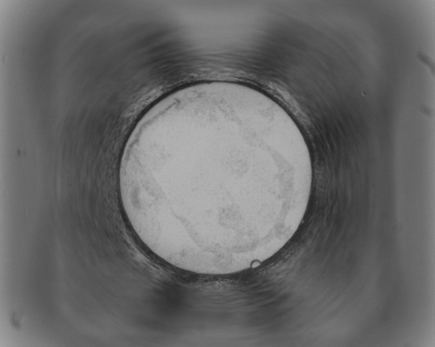 X0000090980433200708301252