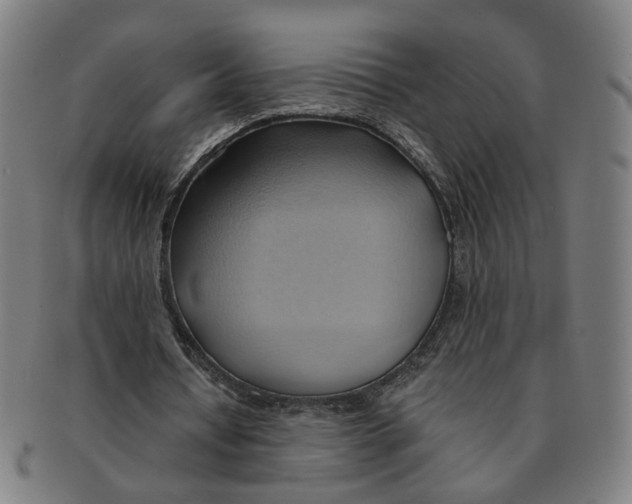 X0000090980434200708301252