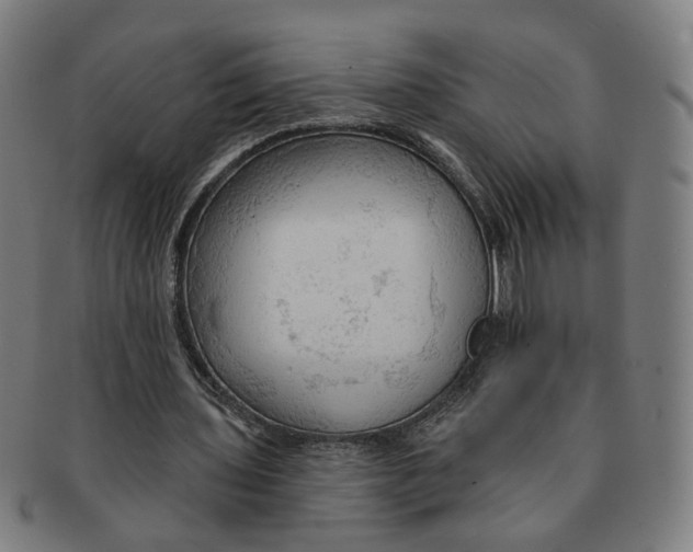 X0000090980435200708301252
