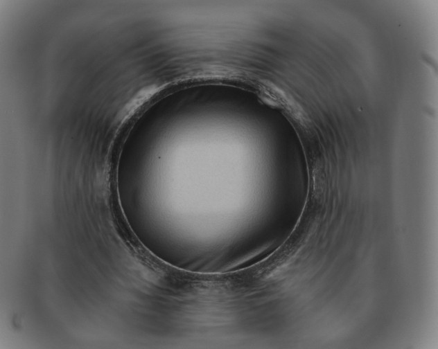 X0000090980436200708301252