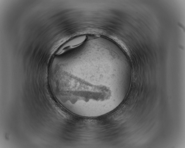 X0000090980437200708301252