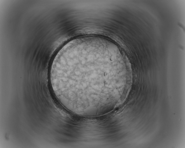 X0000090980438200708301252