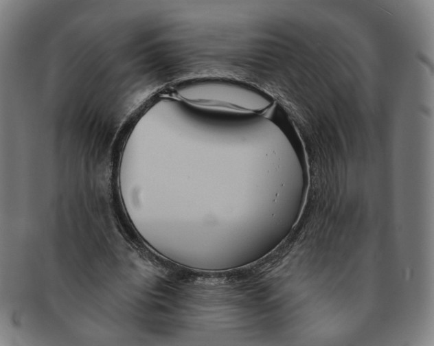 X0000090980440200708301252