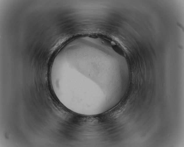 X0000090980443200708301252