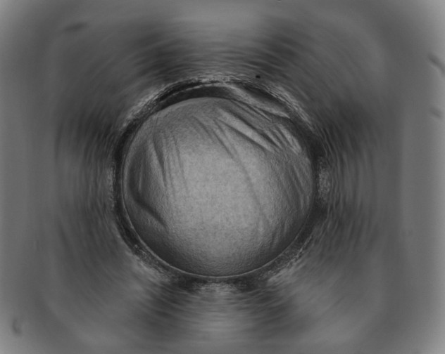 X0000090980444200708301252