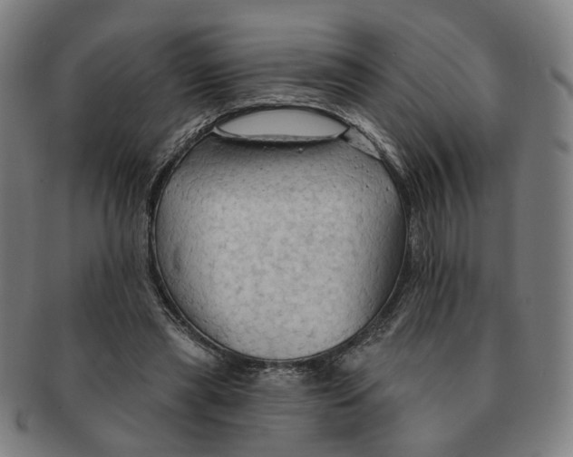 X0000090980445200708301253