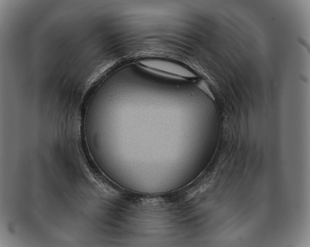 X0000090980446200708301253