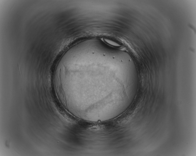 X0000090980447200708301253
