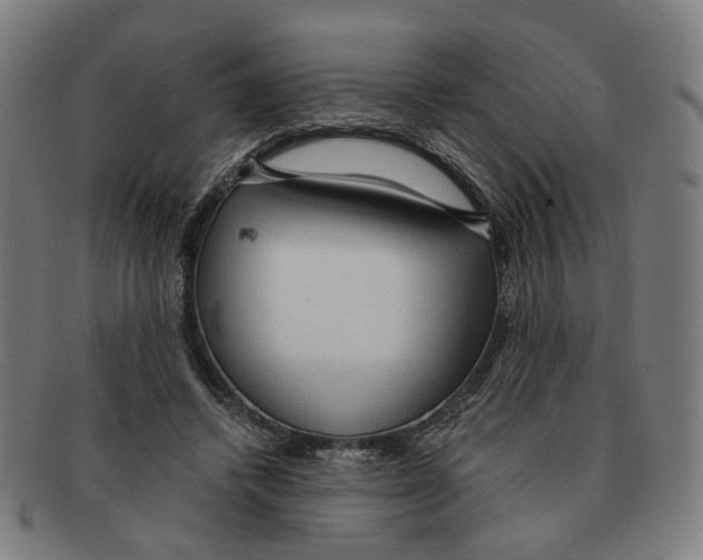 X0000090980448200708301253
