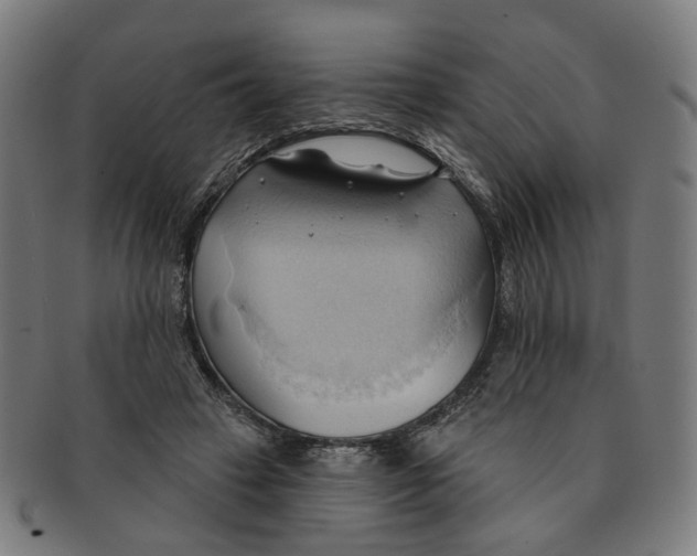 X0000090980449200708301253