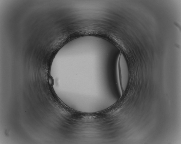 X0000090980450200708301253