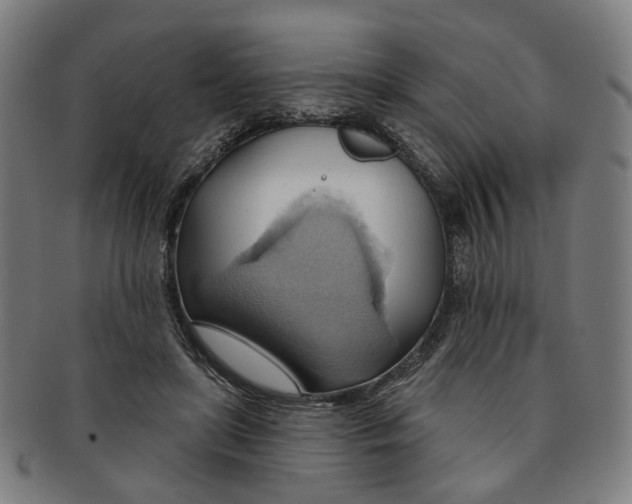 X0000090980451200708301253