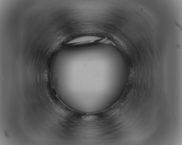 X0000090980452200708301253