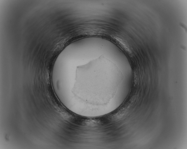 X0000090980453200708301253