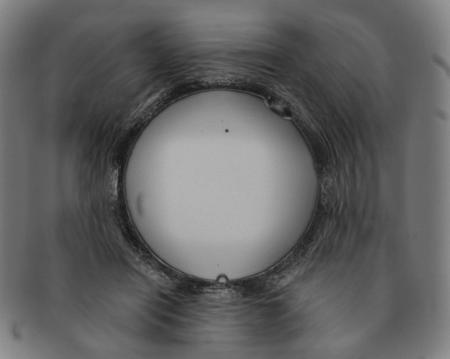 X0000090980454200708301253
