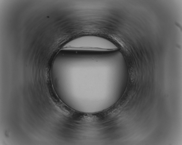 X0000090980455200708301253