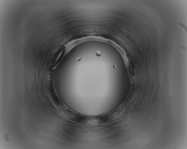 X0000090980456200708301253