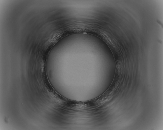 X0000090980458200708301253