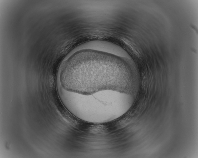 X0000090980459200708301253