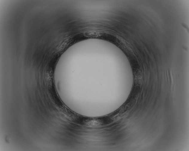 X0000090980460200708301253