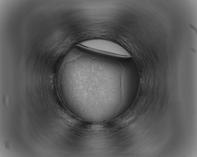 X0000090980462200708301253