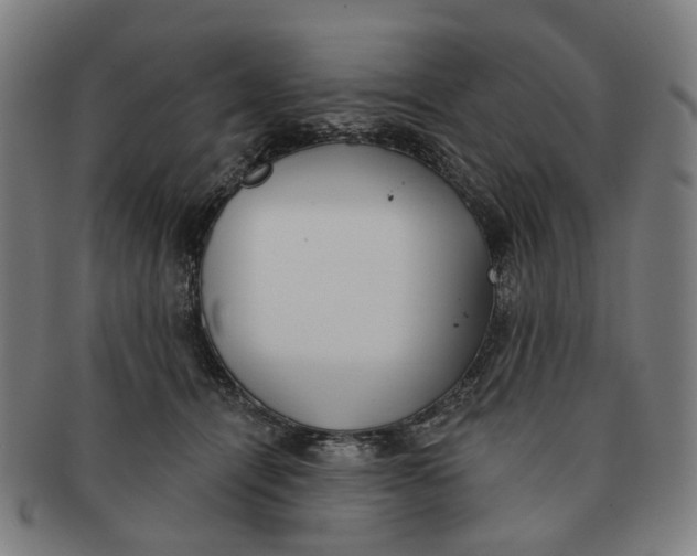 X0000090980464200708301253