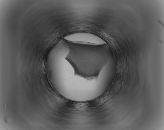 X0000090980465200708301253