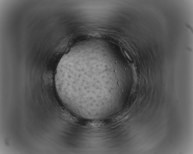 X0000090980466200708301253