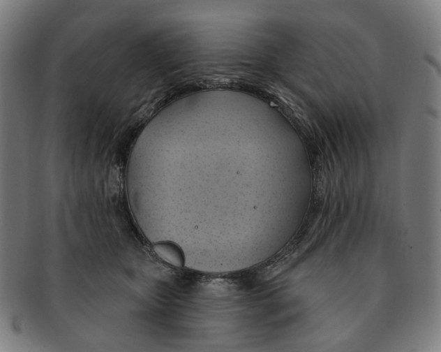 X0000090980467200708301253