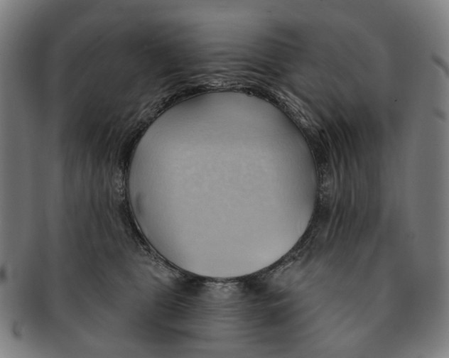 X0000090980469200708301253