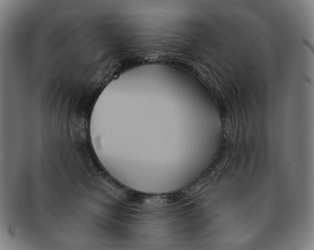 X0000090980470200708301253