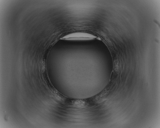 X0000090980471200708301253