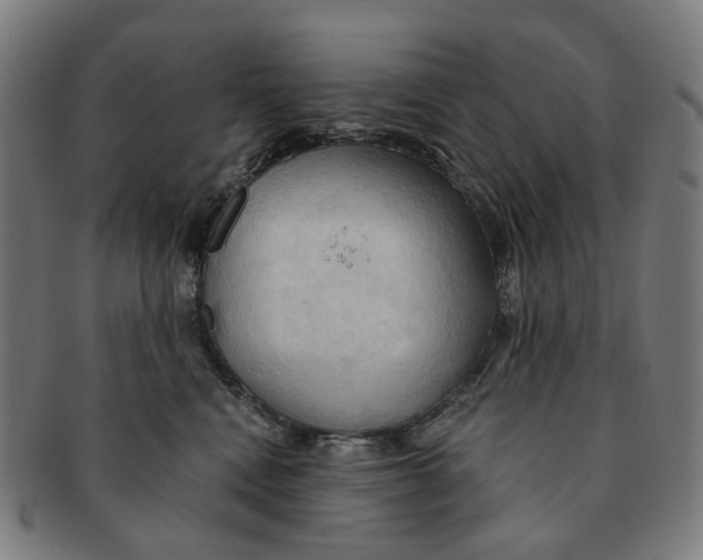 X0000090980472200708301253