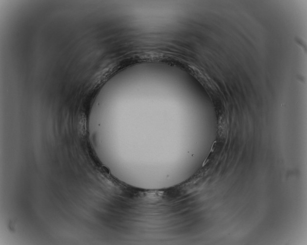 X0000090980474200708301253