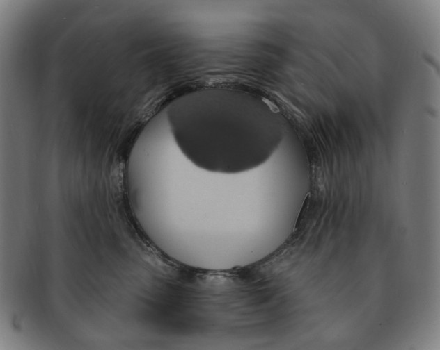 X0000090980475200708301253