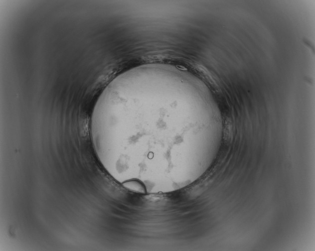 X0000090980477200708301253