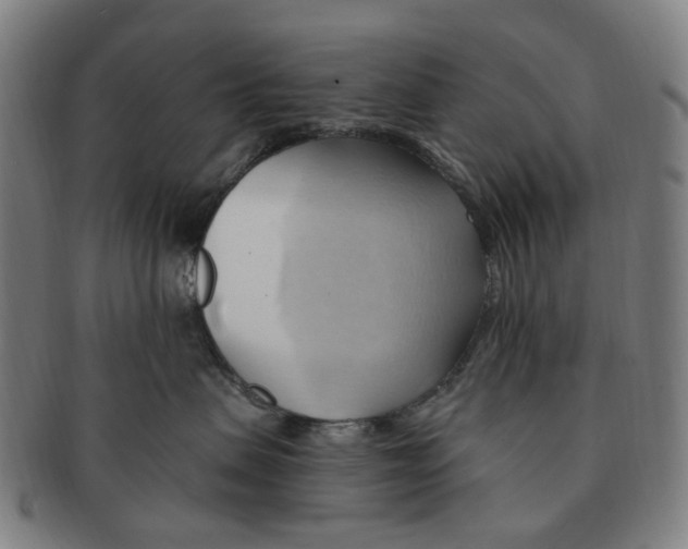 X0000090980479200708301253